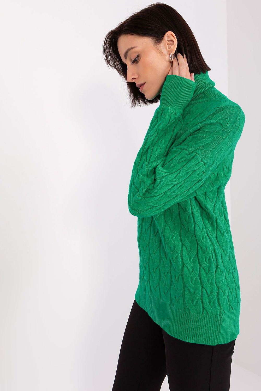 Turtleneck model 188297 AT