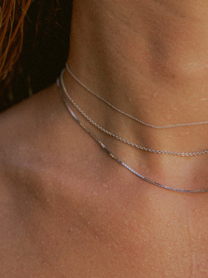 Ankerkette DELICATE Filigran 14k Weißgold-1