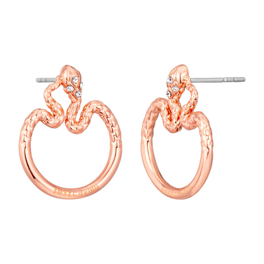 Just Cavalli Ohrringe